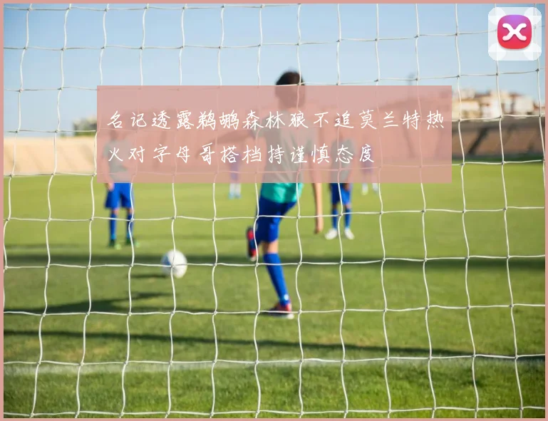 名记透露鹈鹕森林狼不追莫兰特热火对字母哥搭档持谨慎态度
